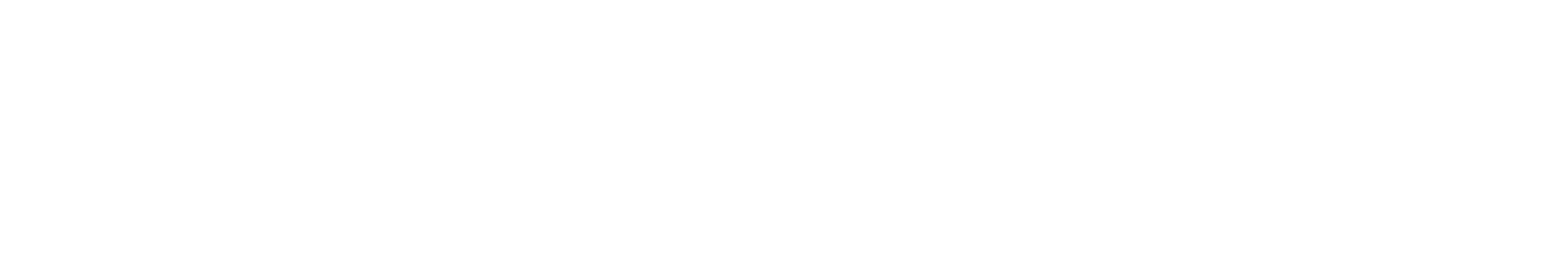 Recarfix
